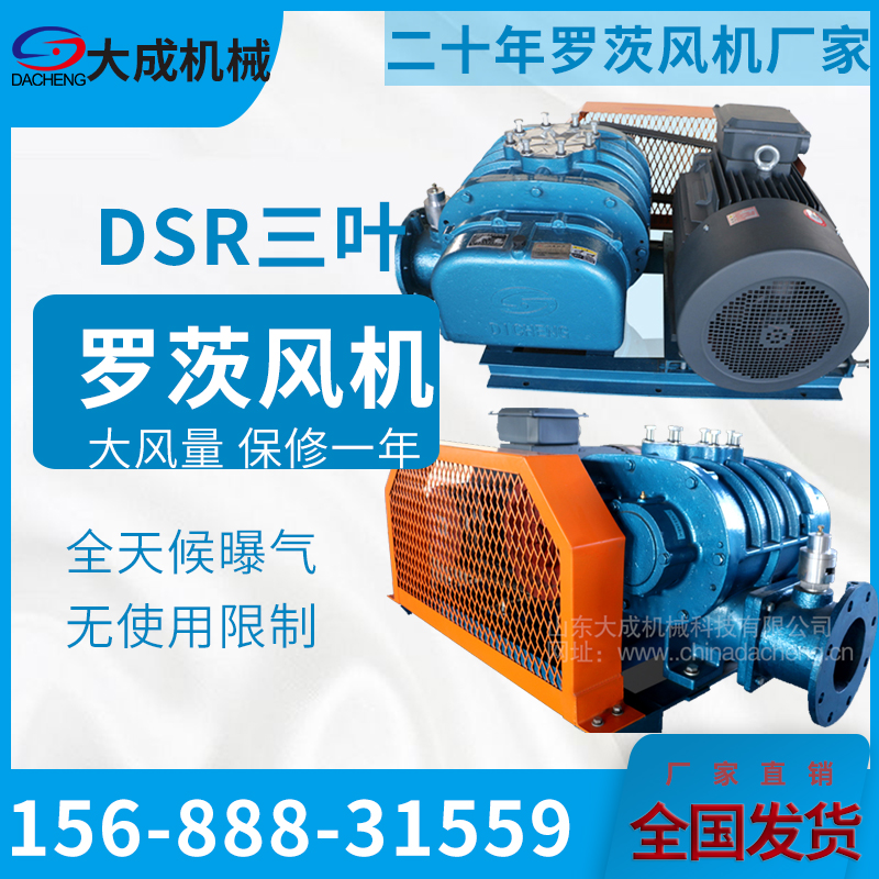 三葉羅茨風(fēng)機(jī)